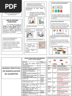 Triptico BPM