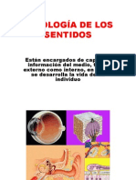 Fisiología de Los Sentidos