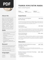 Professional Modern CV Resume