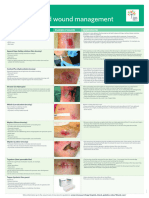 Wound Management Poster A3