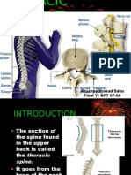 Thoracic Segment Kps