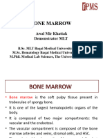 Lecture-2 Bone Marrow Structure and Functions