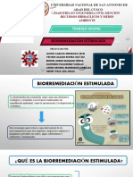 G4 - Biorremediacion Estimulada