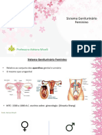 Aula Disturbios Geniturinarios Adriana