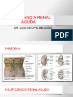 Insuficiencia Renal Aguda Ok