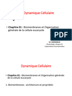 Biomembrane Et Organisation Générale de La Cellule Eucaryote