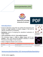 Immunocytochemistry