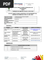 Acta de Comité Técnico de Obra.1