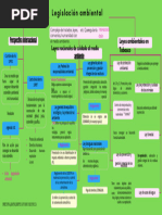 Legislacion Ambiental Mapa Conceptual PDF