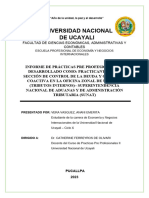 Informe Final de Practicas Pre Profesionales II - Vera Vasquez Anani Emerita