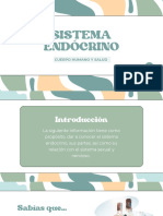 Sistema Endocrino