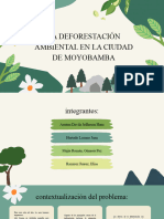 La Deforestación Ambiental en La Ciudad de Moyobamba