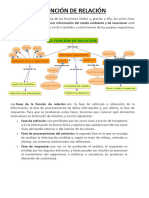 Función de Relación