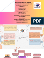 Partes Del Sistema Nervioso