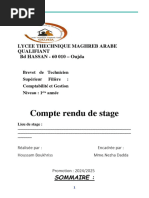 Compte Rendu de Stage