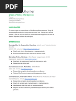 Español WEB DESIGN Curriculum Vitae