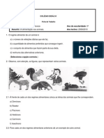 Ficha de Trabalho A Alimentacao Dos Animais