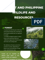 Forest and Philippine Wildlife and Resources