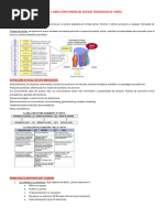 Direccion de Ventas Apuntes 2