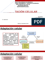 I Adaptacion Celular