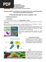 Reino Protista Resumo e Exercício