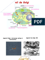 Chapitre 4 3 Appareil de Golgi Lysosomes