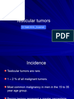 Testicular Tumors Last