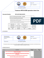 RPC-SOT-ENG-WI-5070 Rev0 (Cameron PETU-SCM Operation Down Line)