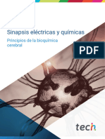 Neuropsicología Clínica - Sinapsis Eléctricas y Químicas