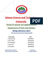 Biology Experiment 3