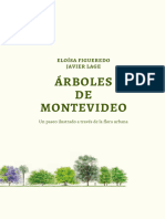 Arboles Interior Estracto