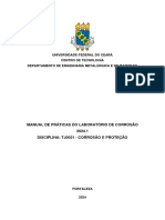 Roteiros Práticas Corrosão 2024