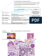 TS-tp-p3A-16-systeme Immu