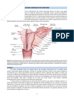  Sistema Reprodutor Feminino