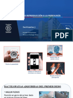 Clase 6 Dactilopatias 1