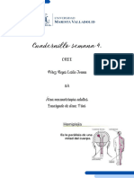 Patología Desarticulado de Rodilla.