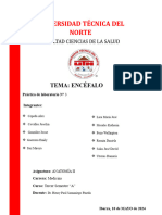 Grupo 1. Informe de La Práctica #3. Encéfalo. Antomía II.