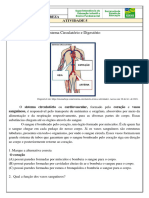 5º Ano - CN - Professor