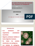 Presentación Sobre Protozoos Del Aparato Digestivo Amebas No Patógenas