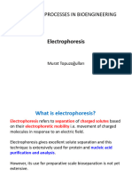 Week8 Electrophoresis