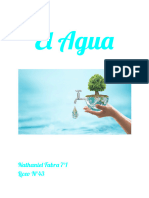 El Agua-1