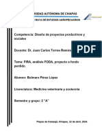 Fira, Analisi Foda, Proyecto A Fondo Perdido