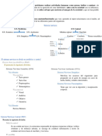 Bases Biológicas II Psicologia