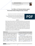 2018 Hepatoprotective Effects of Cichorium Intybus Against Paracetamol Induced Hepatotoxicity in Broiler