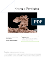 Aula Bactérias e Protozoários