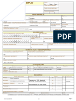 Sne Solicitud de Empleo Plantilla PDF