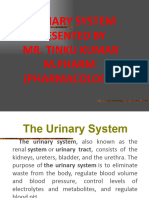 032 Urinary System