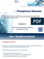 Phosphorus Removal 1