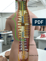 Peças PDF