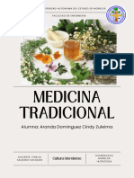 Manual Medicina Tradicional